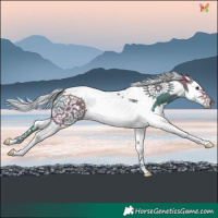 Horse Color:Watercolor Silver Brown Splash Tobiano