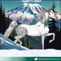 Horse Color:Watercolor Silver Brown Splash Tobiano 