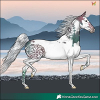 Horse Color:Watercolor Silver Brown Splash Tobiano