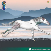 Horse Color:Watercolor Silver Brown Splash Tobiano