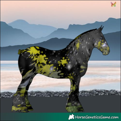 Horse Color:ERROR: UNKNOWN ANOMALY