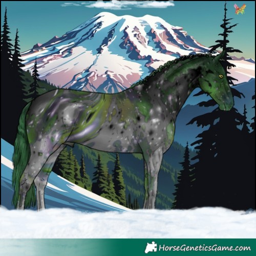 Horse Color:ERROR: UNKNOWN ANOMALY