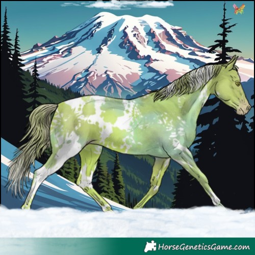 Horse Color:Watercolor White Spotted Gold Champagne 