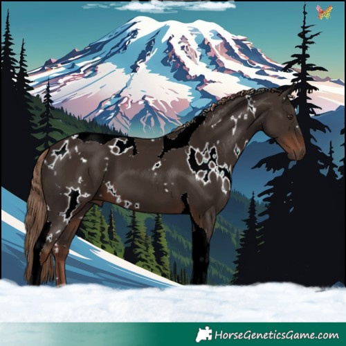 Horse Color:White Spotted Liver Chestnut Tobiano