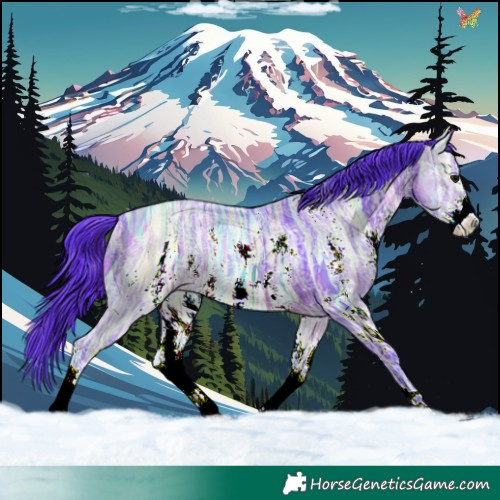 Horse Color:Watercolor Brown Ice Sabino 