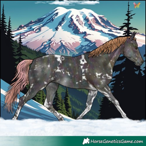 Horse Color:Watercolor White Spotted Midnight Liver Chestnut Ice Tobiano 