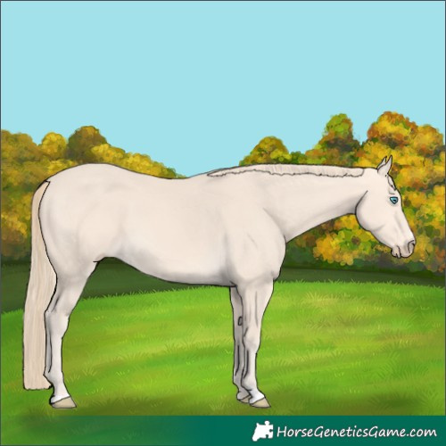 Horse Color:Perlino 