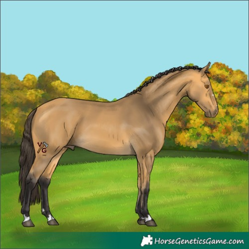 Horse Color:Unknown 