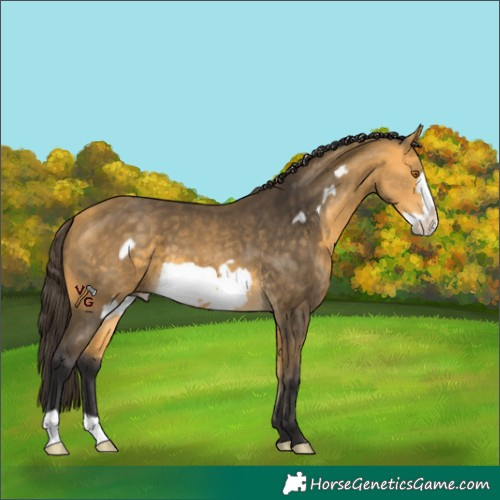 Horse Color:Unknown 
