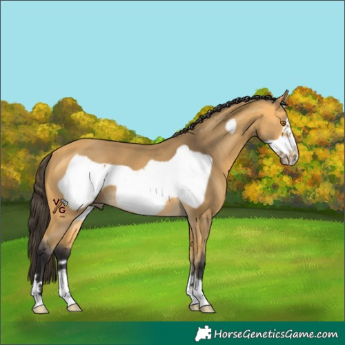 Horse Color:Unknown