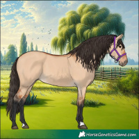 Horse Color:Bay Dun