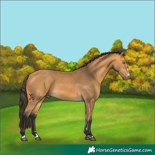 Horse Color:Unknown 