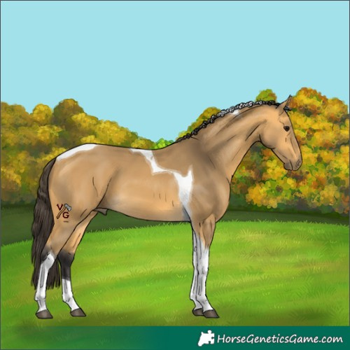 Horse Color:Unknown 