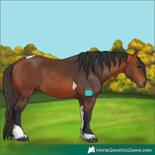 Horse Color:Bay Tobiano 