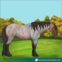 Horse Color:Bay Roan 
