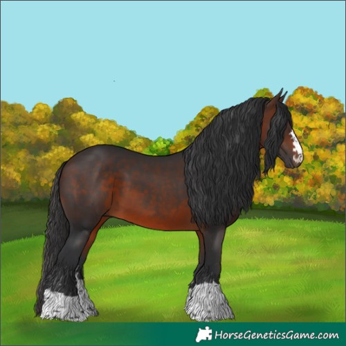 Horse Color:Brown 