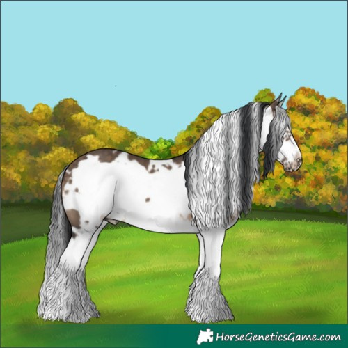 Horse Color:White Spotted Brown Dun Splash Frame 