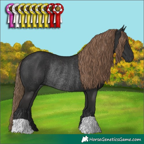 Horse Color:Liver Chestnut Rabicano 