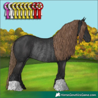Horse Color:Liver Chestnut Rabicano