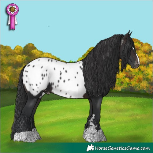 Horse Color:Brown Near Leopard 
