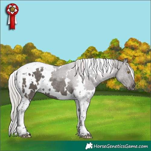Horse Color:White Spotted Silver Black Tobiano Rabicano 