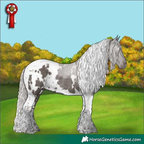 Horse Color:White Spotted Silver Black Tobiano Rabicano