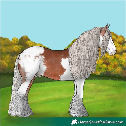 Horse Color:Silver Bay Splash Snowcap 