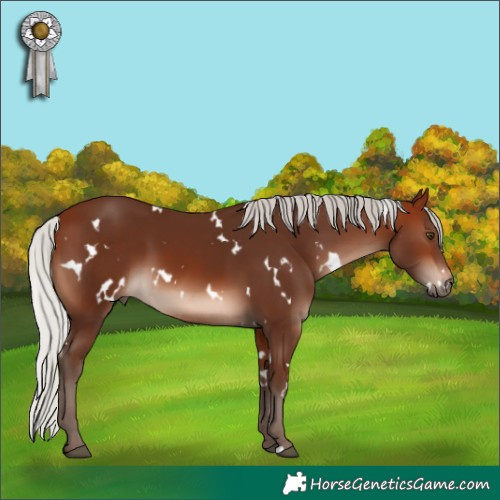 Horse Color:White Spotted Silver Brown Mushroom 