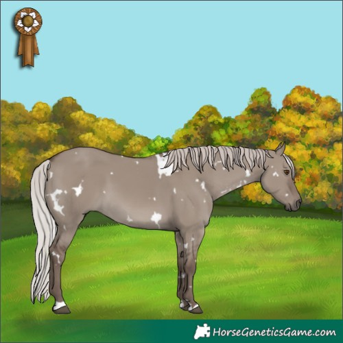 Horse Color:White Spotted Silver Grullo Mushroom 