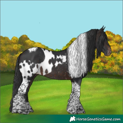 Horse Color:Brown Tobiano Skewed LP Spotted Rabicano 