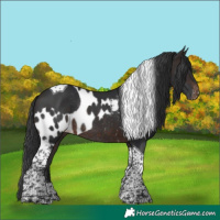 Horse Color:Brown Tobiano Skewed LP Spotted Rabicano