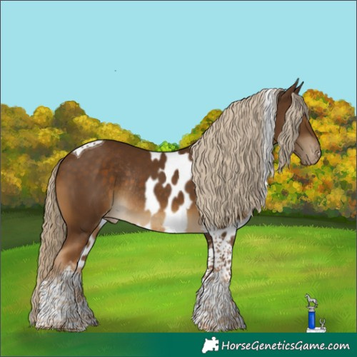 Horse Color:Chocolate Palomino Tobiano Skewed LP Spotted Rabicano 