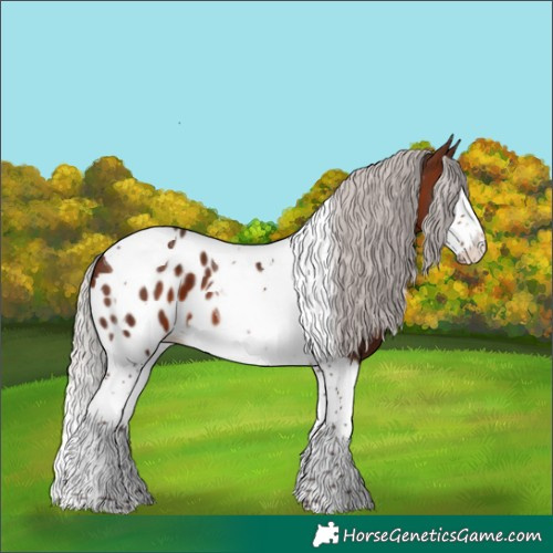 Horse Color:Silver Brown Mushroom Splash Tobiano Skewed LP Spotted 