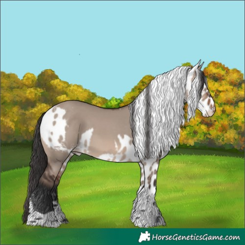 Horse Color:Brown Dun Mushroom Tobiano Skewed Appaloosa 