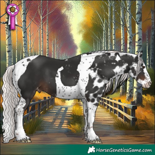 Horse Color:Liver Chestnut Mushroom Splash Tobiano Skewed Appaloosa 