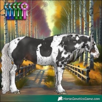 Horse Color:Liver Chestnut Mushroom Splash Tobiano Skewed Appaloosa