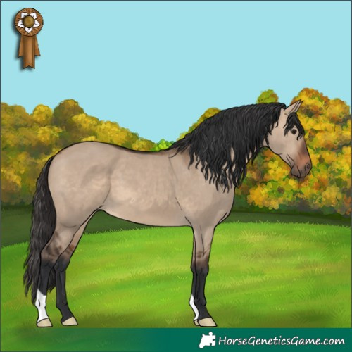 Horse Color:Brown Dun 