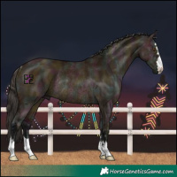 Horse Color:Midnight Bay Ice Dun Rabicano