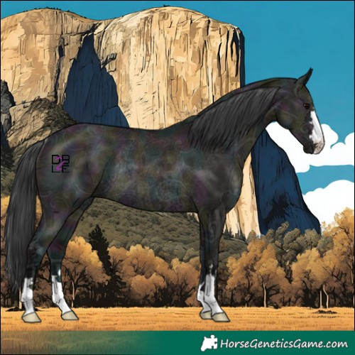 Horse Color:Midnight Grullo Ice Rabicano 