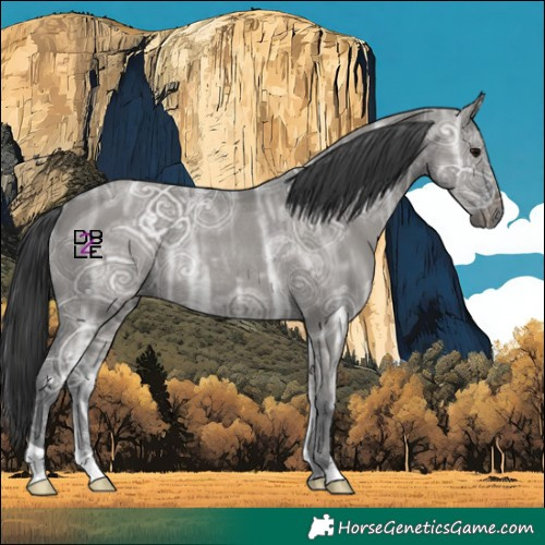 Horse Color:Grullo Ice Rabicano