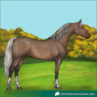 Horse Color:Silver Brown Dun  and Silver Brown Dun 