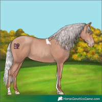 Horse Color:Silver Amber Champagne Mushroom Tobiano 