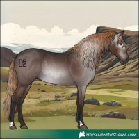 Horse Color:Gray Liver Chestnut