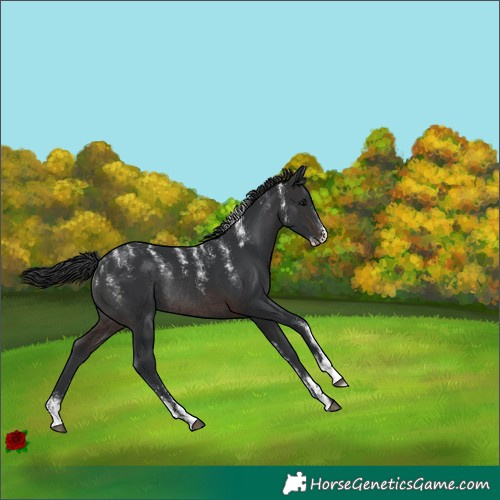 Horse Color:Powder White Brown Rabicano