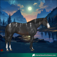 Horse Color:Powder White Brown Sabino