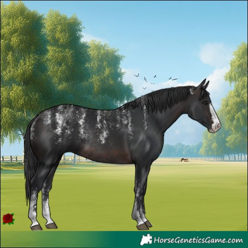 Horse Color:Powder White Brown Rabicano