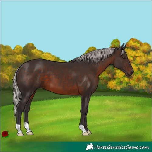 Horse Color:Silver Brown