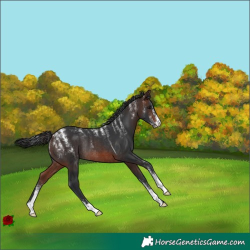 Horse Color:Powder White Brown Rabicano