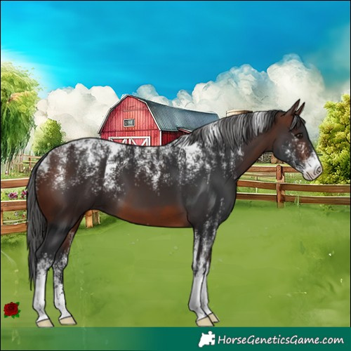 Horse Color:Powder White Brown