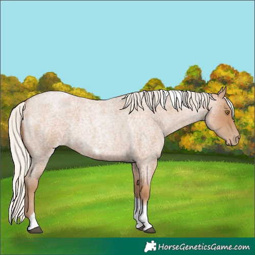 Horse Color:Silver Blue Roan Pearl Tobiano Frame 